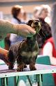 Crufts2011_2 1069